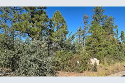 440 E Stoneridge Circle, Show Low, AZ 85901 - Photo 6