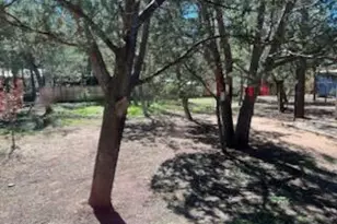 3343 Oakwood Dr, Lakeside, AZ 85929 - Photo 6