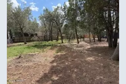 3343 Oakwood Drive, Lakeside, AZ 85929 - Photo 4