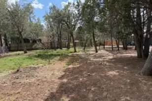 3343 Oakwood Dr, Lakeside, AZ 85929 - Photo 4