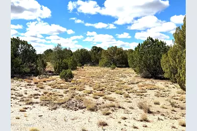 5 Clubhouse Lane, Concho, AZ 85924 - Photo 10