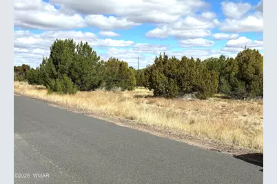 5 Clubhouse Lane, Concho, AZ 85924 - Photo 2