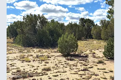 5 Clubhouse Lane, Concho, AZ 85924 - Photo 4