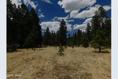 10 N2310, Alpine, AZ 85920 - Photo 2