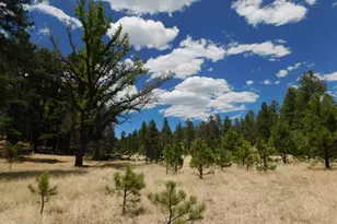 10 N2310, Alpine, AZ 85920 - Photo 1