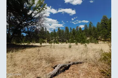 10 N2310, Alpine, AZ 85920 - Photo 12