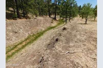 10 N2310, Alpine, AZ 85920 - Photo 6