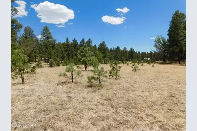 10 N2310, Alpine, AZ 85920 - Photo 10