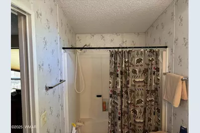2904 S Cardinal Lane, Pinetop, AZ 85935 - Photo 12