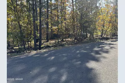 2904 S Cardinal Lane, Pinetop, AZ 85935 - Photo 2