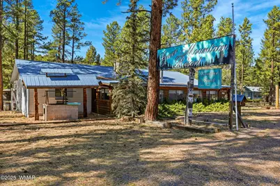 38742 State Route 373, Greer, AZ 85927 - Photo 6