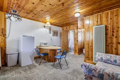 38742 State Route 373, Greer, AZ 85927 - Photo 28