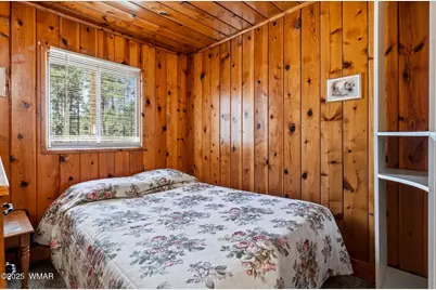 38742 State Route 373, Greer, AZ 85927 - Photo 22