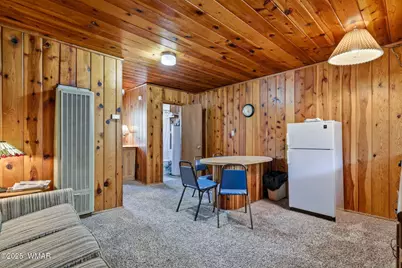 38742 State Route 373, Greer, AZ 85927 - Photo 32