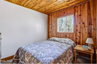 38742 State Route 373, Greer, AZ 85927 - Photo 26