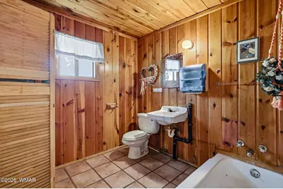 38742 State Route 373, Greer, AZ 85927 - Photo 14