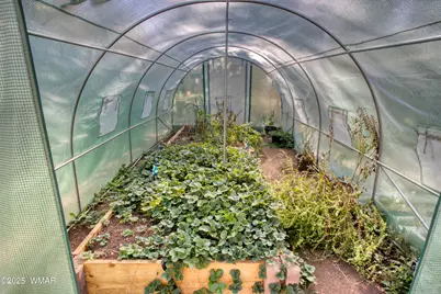 537 W Billy Creek Drive, Lakeside, AZ 85929 - Photo 26