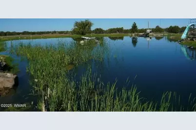 280 N8355 Loop, Concho, AZ 85924 - Photo 46