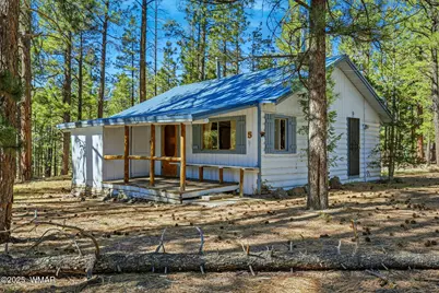 38742 State Route 373, Greer, AZ 85927 - Photo 20