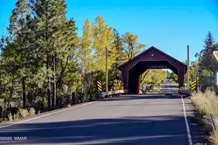 685 Kuhn Rd, Pinedale, AZ 85934 - Photo 58