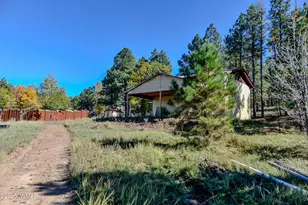 685 Kuhn Rd, Pinedale, AZ 85934 - Photo 46