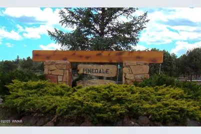 685 Kuhn Road, Pinedale, AZ 85934 - Photo 4