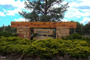 685 Kuhn Rd, Pinedale, AZ 85934 - Photo 4