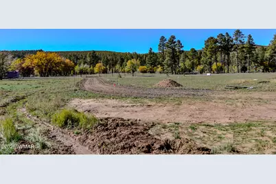 685 Kuhn Road, Pinedale, AZ 85934 - Photo 34