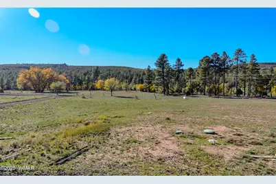 685 Kuhn Road, Pinedale, AZ 85934 - Photo 28
