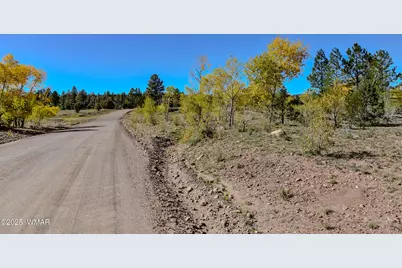 685 Kuhn Road, Pinedale, AZ 85934 - Photo 64