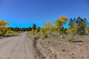 685 Kuhn Rd, Pinedale, AZ 85934 - Photo 64