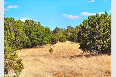 20 Co Road, Concho, AZ 85924 - Photo 4