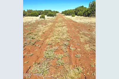 20 Co Road, Concho, AZ 85924 - Photo 2