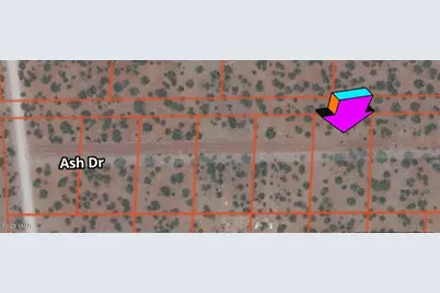 20 Co Road, Concho, AZ 85924 - Photo 2