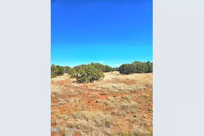 20 Co Road, Concho, AZ 85924 - Photo 12