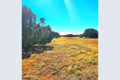 20 Co Road, Concho, AZ 85924 - Photo 6