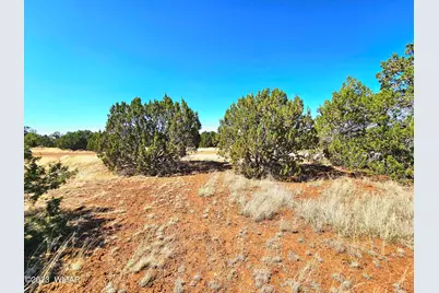 20 Co Road, Concho, AZ 85924 - Photo 18
