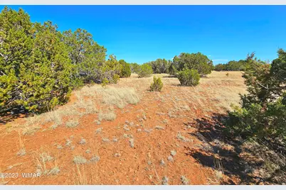20 Co Road, Concho, AZ 85924 - Photo 16