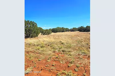 20 Co Road, Concho, AZ 85924 - Photo 14