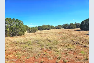 20 Co Road, Concho, AZ 85924 - Photo 6