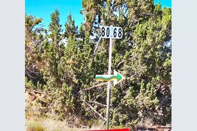 20 Co Road, Concho, AZ 85924 - Photo 10