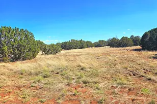 20 County Rd, Concho, AZ 85924 - Photo 1