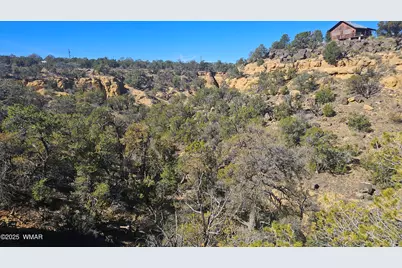 4 County Road, Concho, AZ 85924 - Photo 14