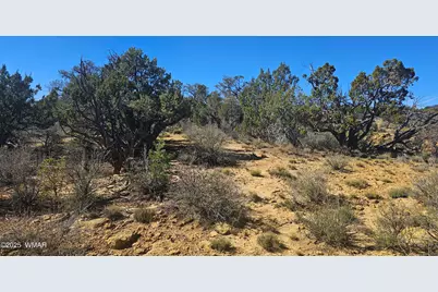4 County Road, Concho, AZ 85924 - Photo 18