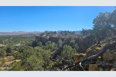 4 County Road, Concho, AZ 85924 - Photo 10