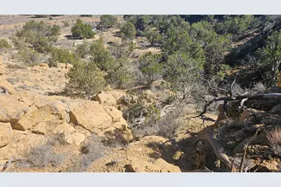 4 County Road, Concho, AZ 85924 - Photo 8
