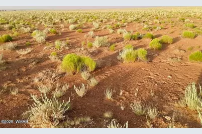 Tbd Hodges Ln 39.05 Acres, Holbrook, AZ 86025 - Photo 8