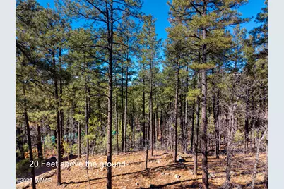 2189 Creekside Court, Pinetop, AZ 85935 - Photo 12