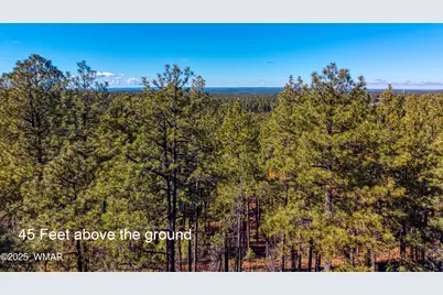 2189 Creekside Court, Pinetop, AZ 85935 - Photo 14