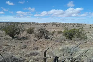 5280 Concho Ocho Rd, Snowflake, AZ 85937 - Photo 1